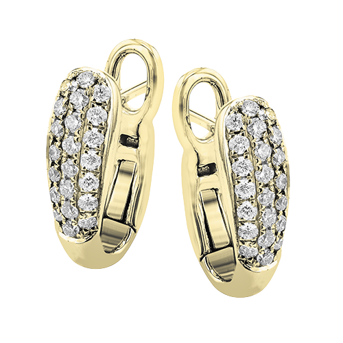 LE4619-Y HOOP EARRING