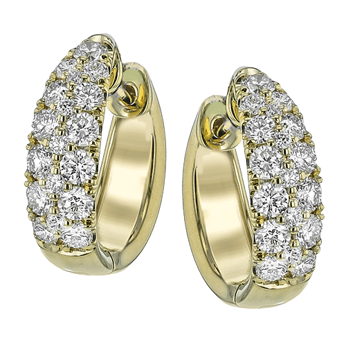 LE4662-Y HOOP EARRING