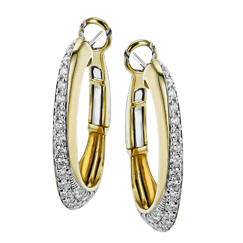 LE4818-Y HOOP EARRING