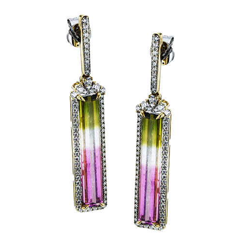 LE4819 COLOR EARRING
