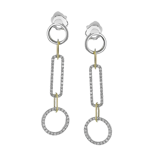 LE4839 EARRING