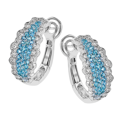 LE4868 COLOR EARRING