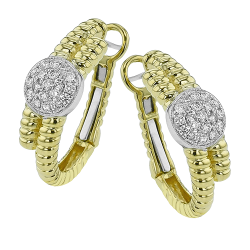 LE4869 HOOP EARRING