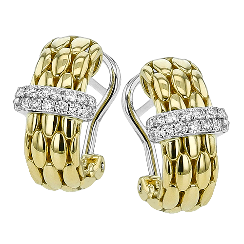LE4900 EARRING