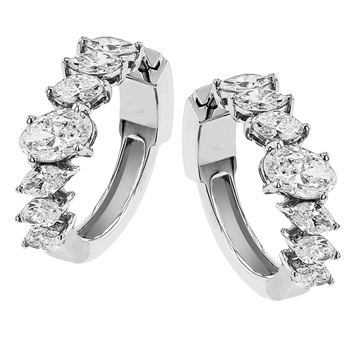 LE4902 HOOP EARRING