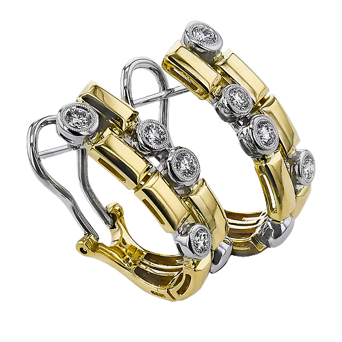 LE4923 HOOP EARRING
