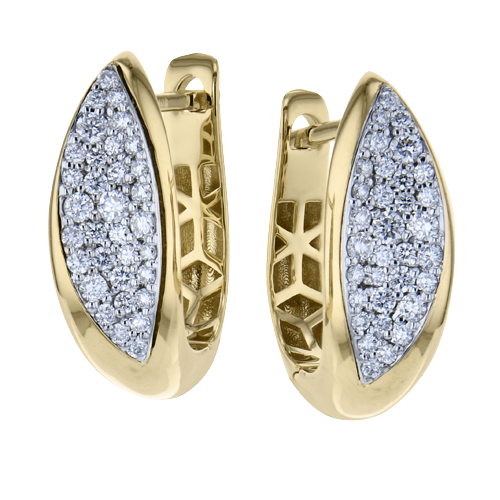 LE4936 HOOP EARRING