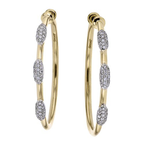 LE4995 HOOP EARRING