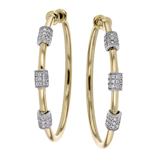 LE4996 HOOP EARRING