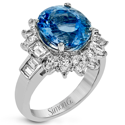LR2419 COLOR RING
