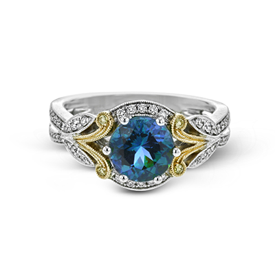 COLOR RING View 2
